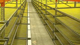Gravity Racking System for a pharamceitucal warehouse