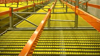 Phramaceutical warehouse Carton Flow storage System