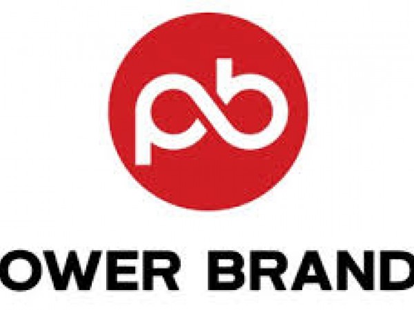 Power brands logo