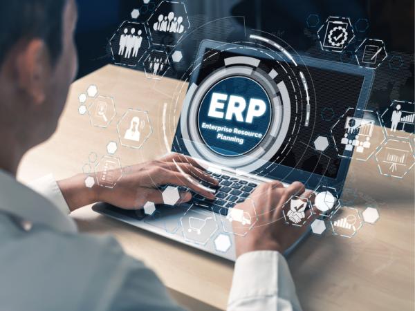 WMS and ERP systems integration